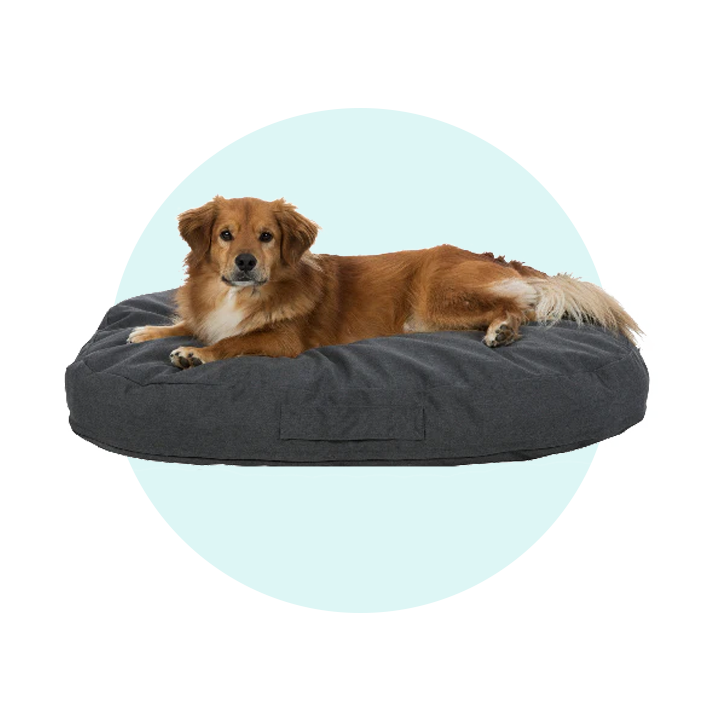 Dogs Mats and Cushions