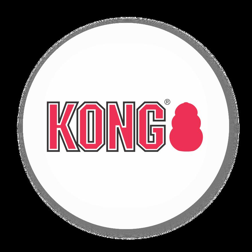 kong green dog treat toy