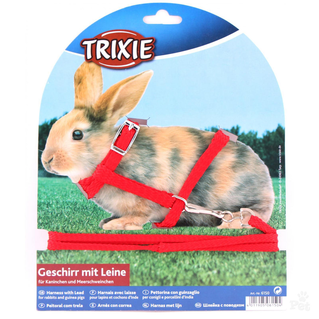 Rabbit Health & Wellness