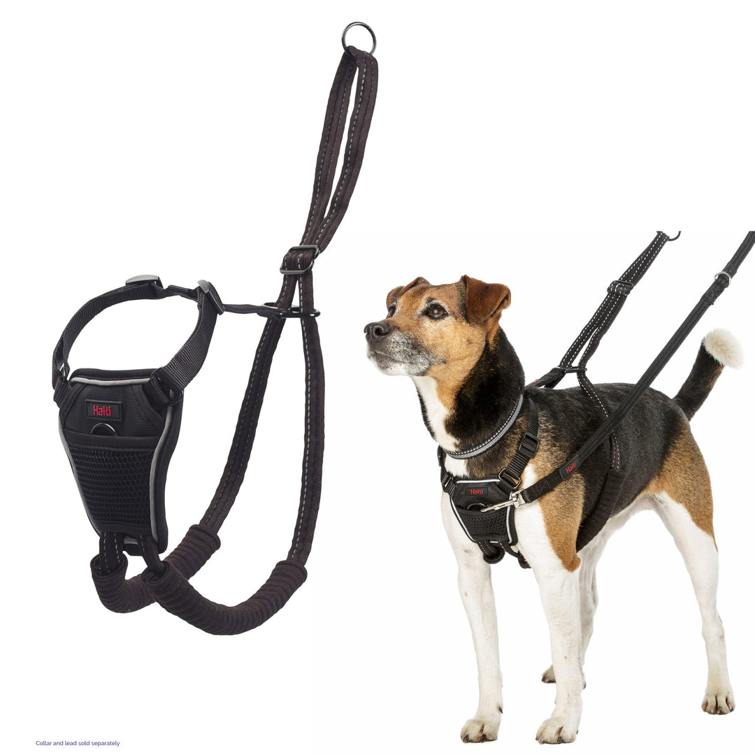 Halti No Pull Harness Small