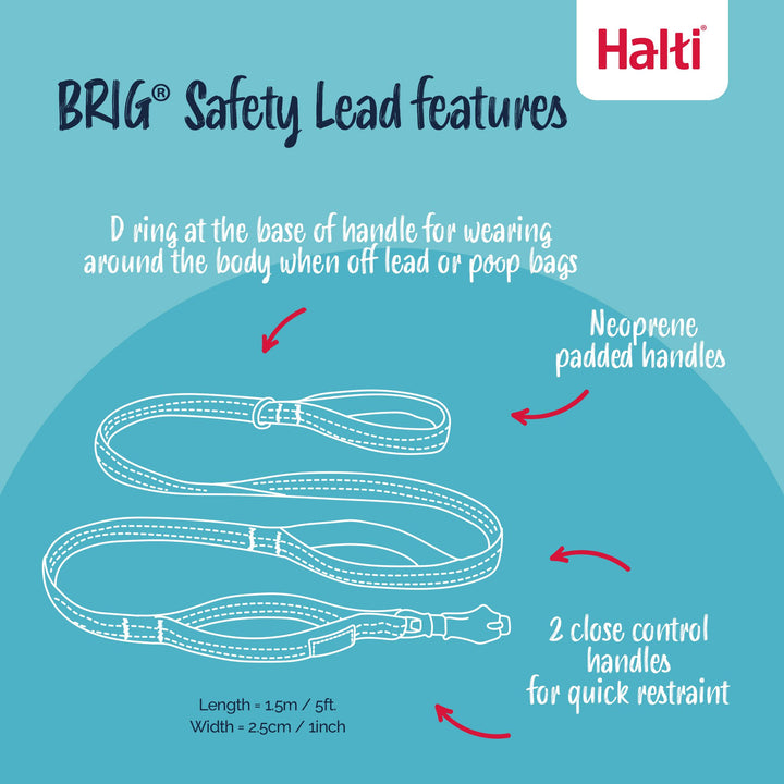 Halti BRIG Safety Lead Large