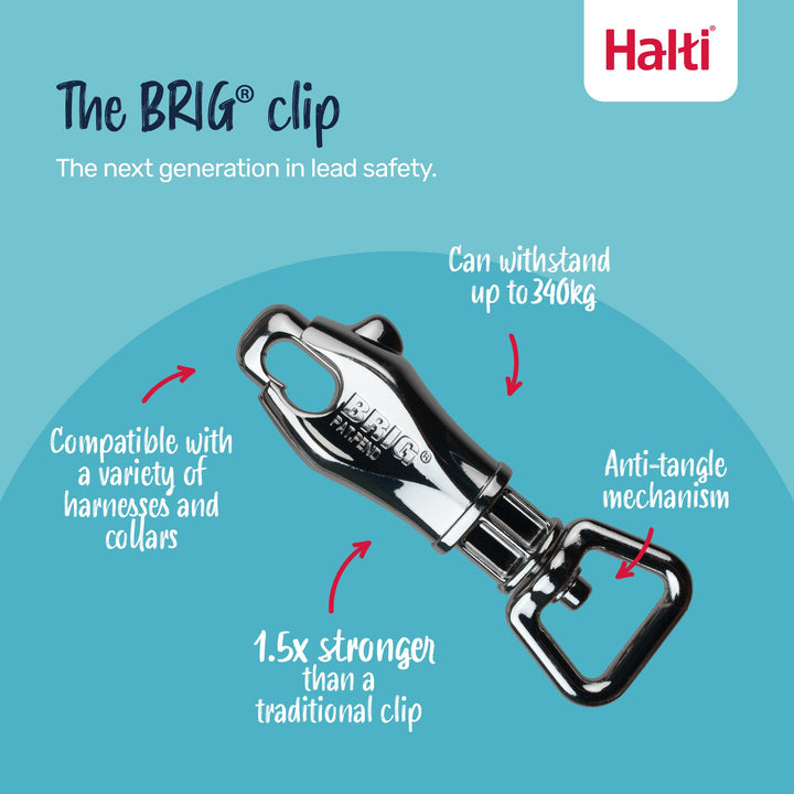 Halti BRIG Safety Lead Large