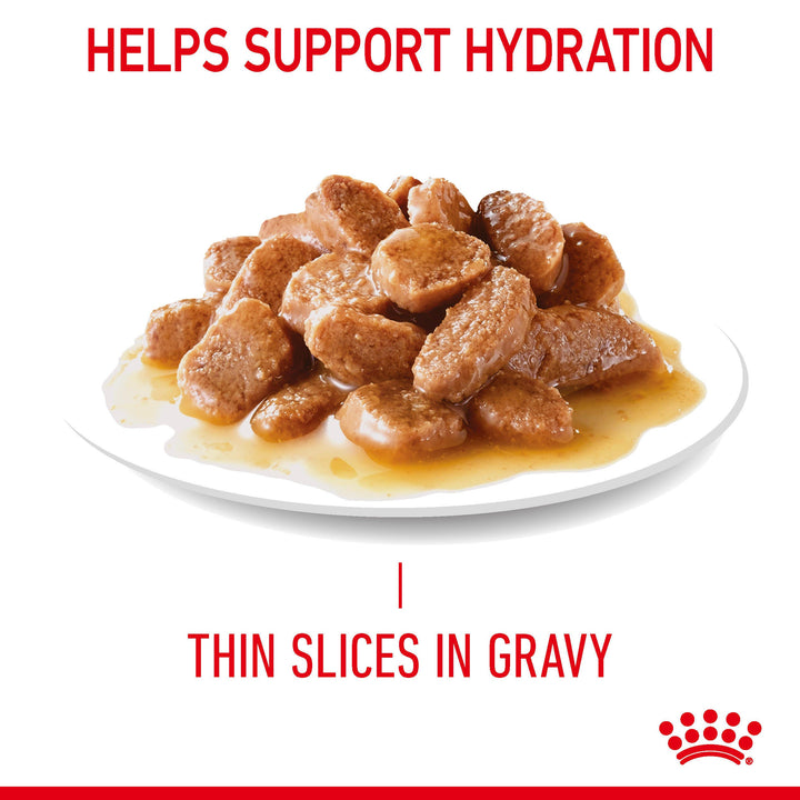 Royal Canin Hair and Skin Care thin slices in gravy served in a bowl, helps support hydration