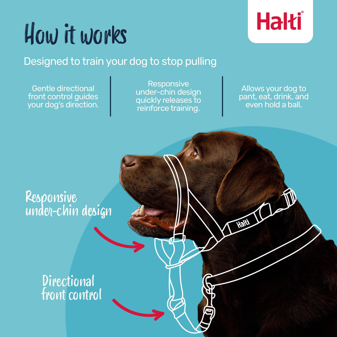 Halti Dog Head Collar Black Size 4