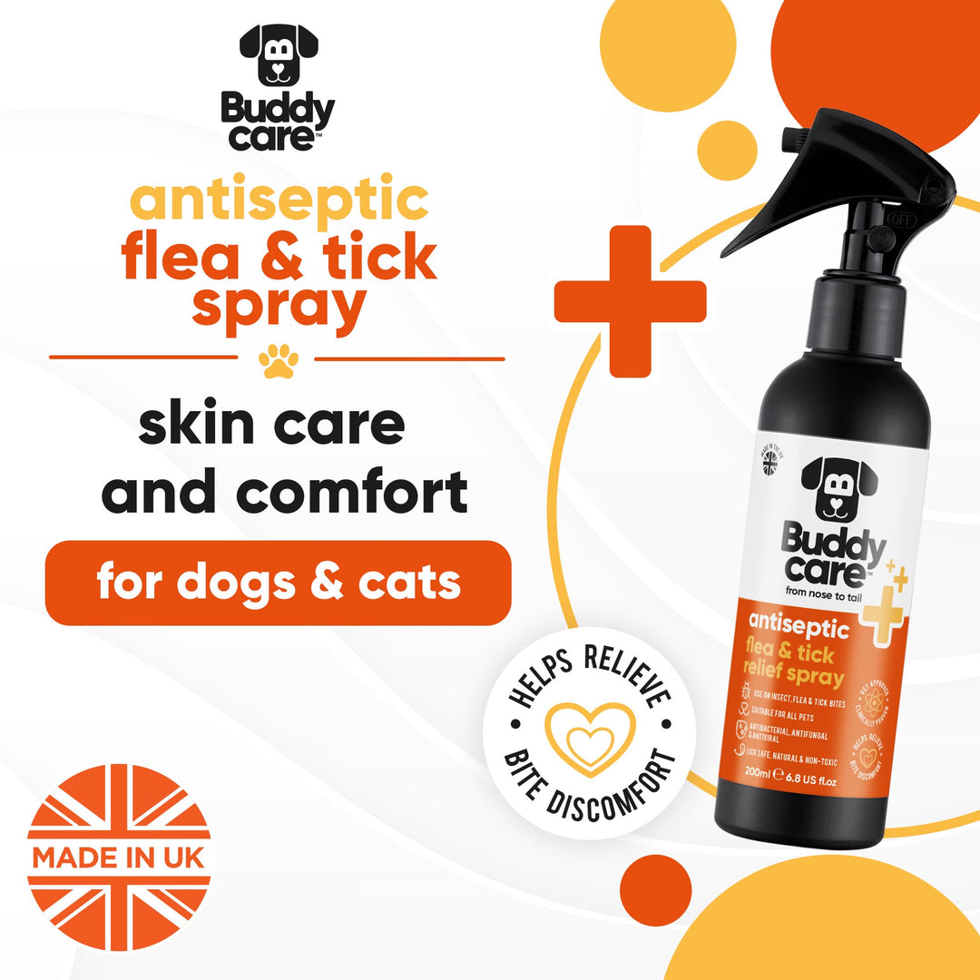 Buddycare Antiseptic Flea & Tick Spray for skin care and comfort in dogs and cats, made in UK