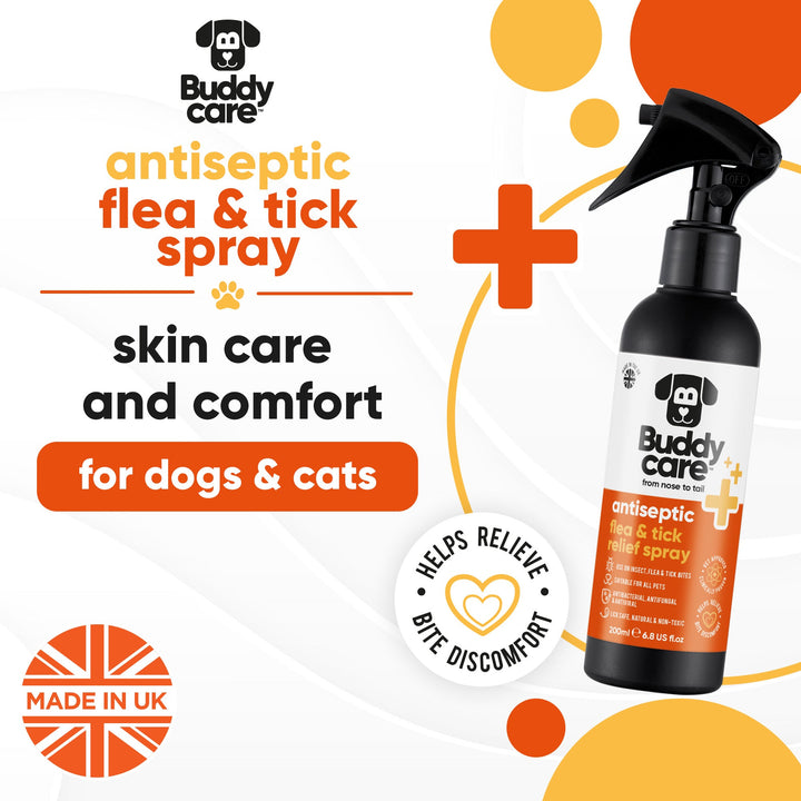 Buddycare Antiseptic Flea & Tick Spray for skin care and comfort in dogs and cats, made in UK