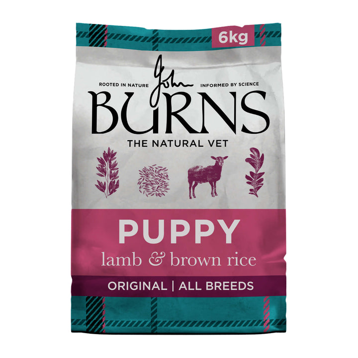 Burns Puppy Original Lamb & Brown Rice 6kg bag, front of pack
