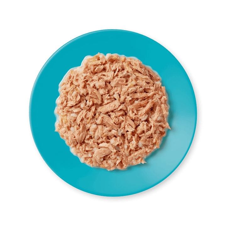 Applaws Tuna Fillet in Broth served in a blue bowl, showing flaked tuna fillet