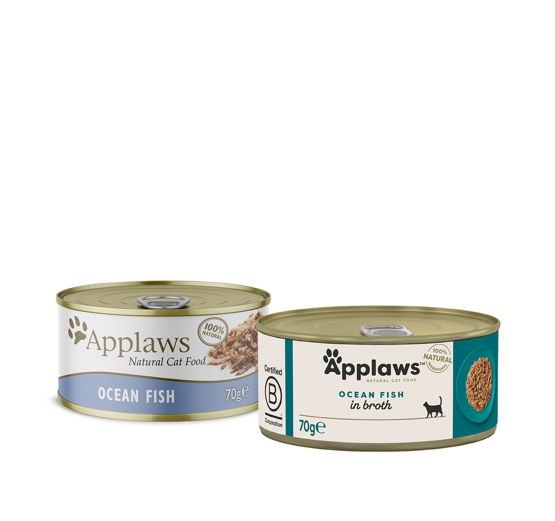 Applaws Ocean Fish in Broth 70g can, previous and new pack designs side by side