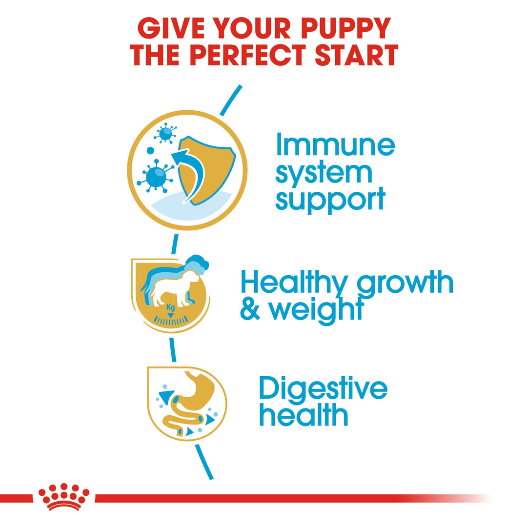 Royal Canin Labrador Retriever Puppy benefits: immune system support, healthy growth and weight, digestive health