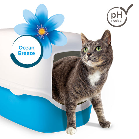 Cat stepping out of a litter box with Beaphar Ocean Breeze fragrance graphic