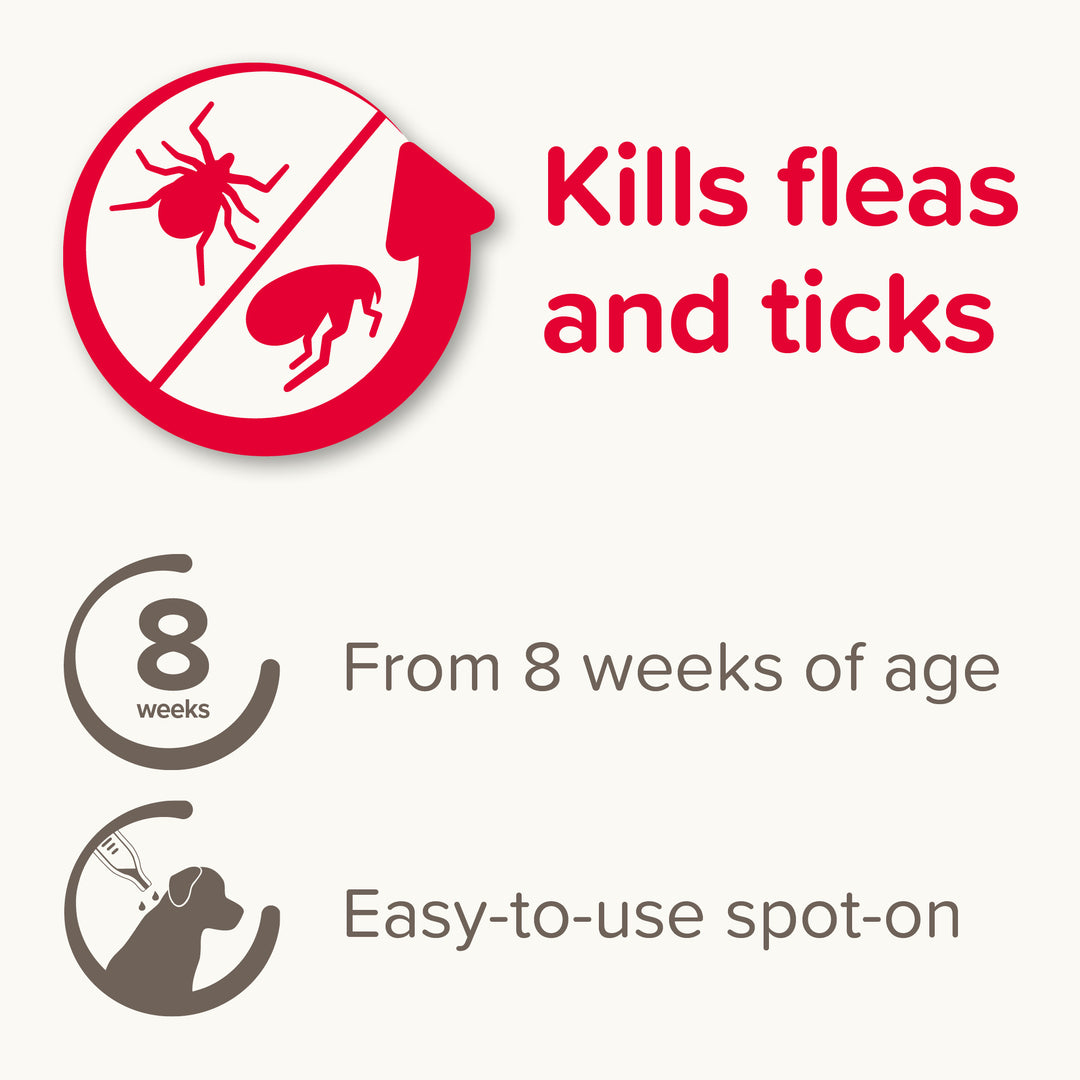 Beaphar FIPROtec kills fleas and ticks, from 8 weeks of age, easy to use spot-on