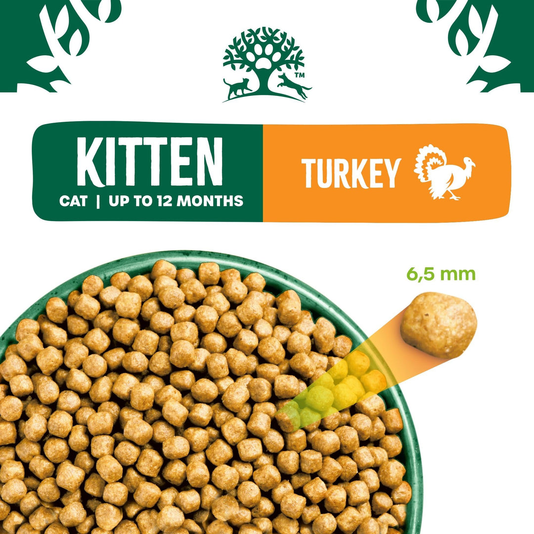 James Wellbeloved Kitten Turkey kibble in a bowl, 6.5mm kibble size