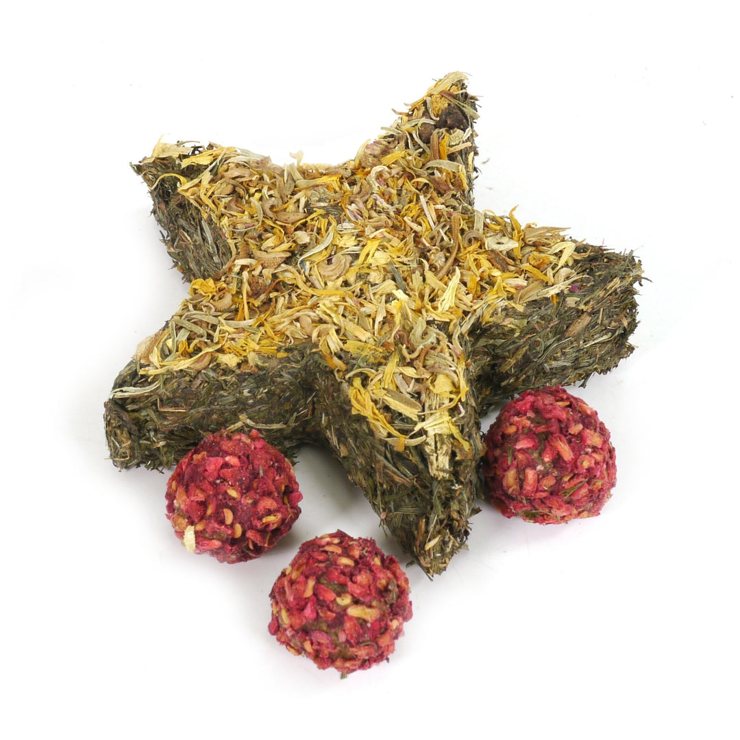 Rosewood Naturals Star Truffles Forage Tray 100g