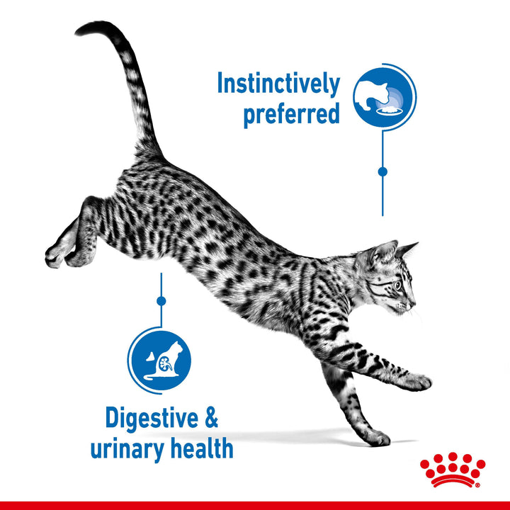Royal Canin Indoor Sterilised in Jelly benefits: instinctively preferred, digestive and urinary health