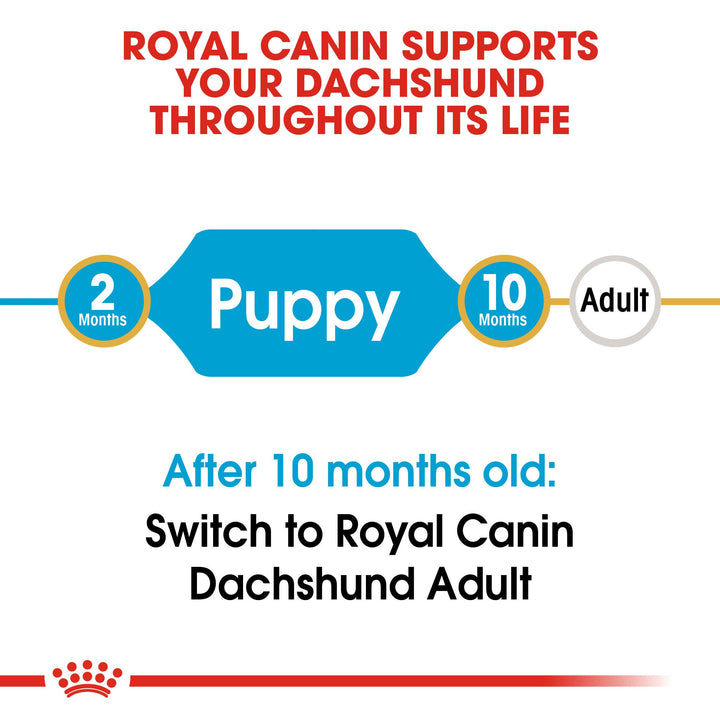 Royal Canin Dachshund Puppy from 2 to 10 months, then switch to Dachshund Adult