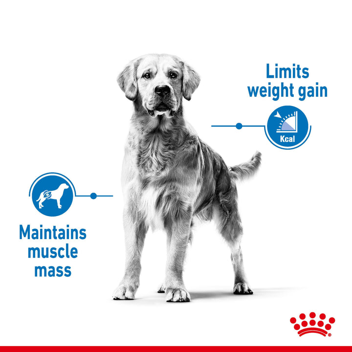 Royal Canin Maxi Light Weight Care benefits: limits weight gain and maintains muscle mass