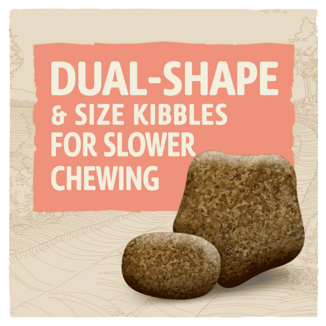 dual sized kibbles