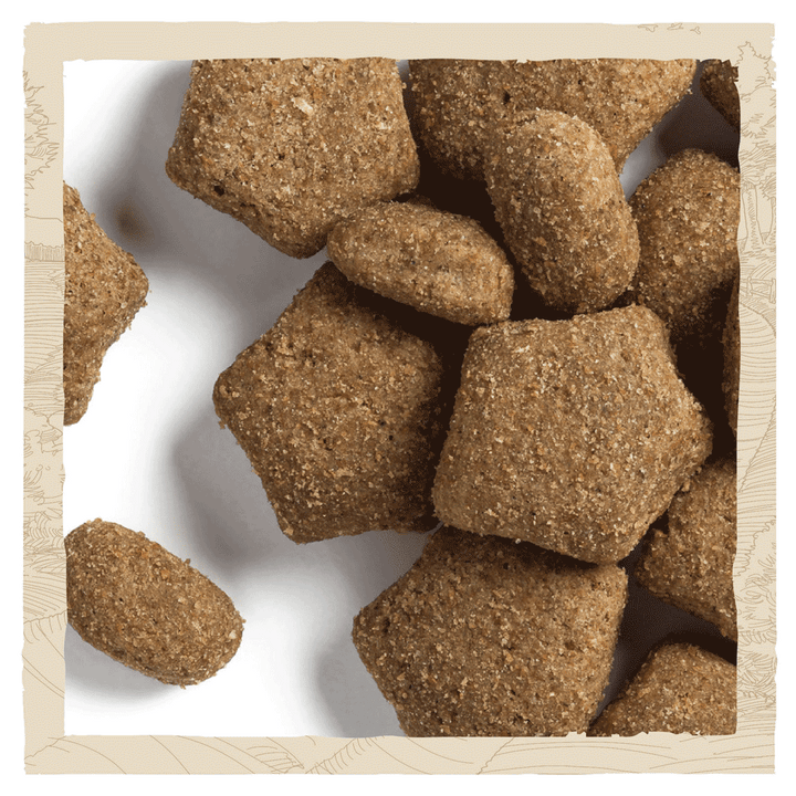 Purina Beta Light Turkey dry dog food kibbles close up