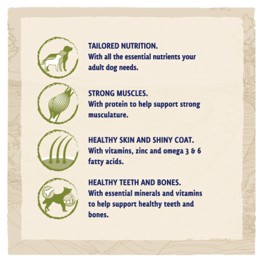 Beta Adult Lamb & Turkey 14kg - PetWorld