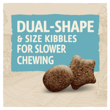 Beta Puppy Large Breed with Turkey 2kg - PetWorld