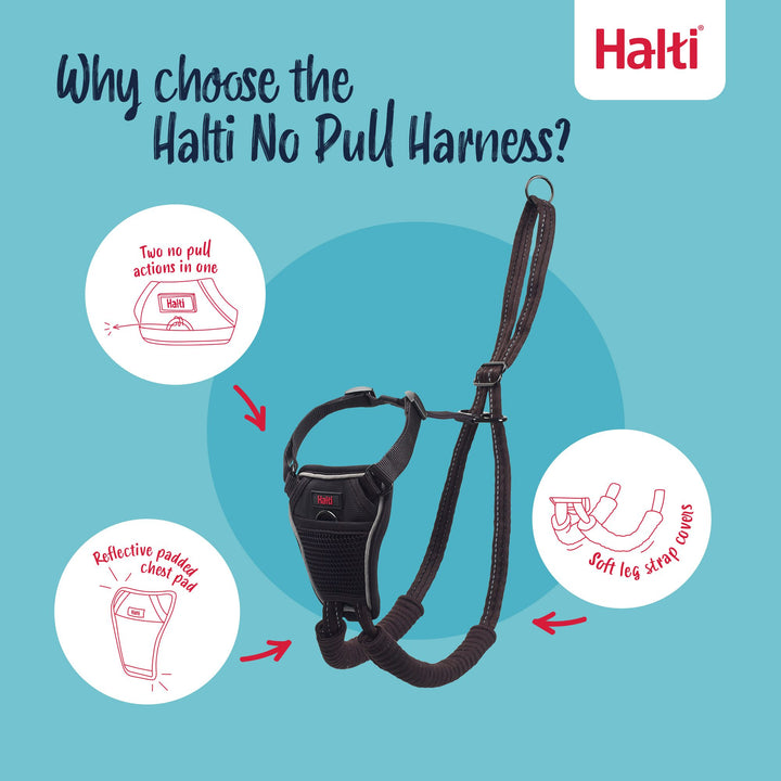 Halti No Pull Dog Harness Medium