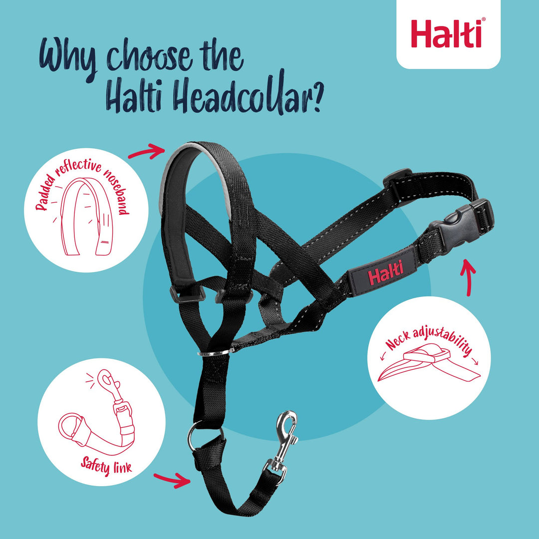 Halti Dog Head Collar Black Size 4