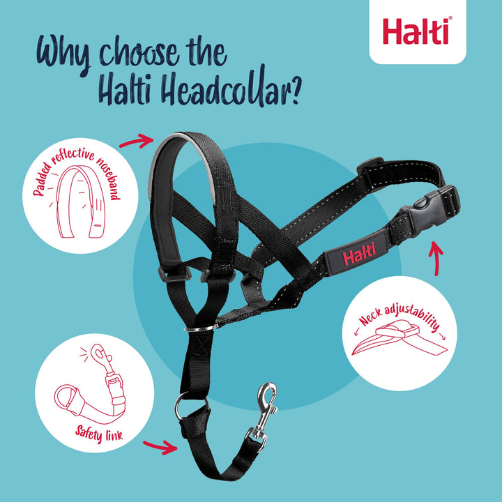 Halti Dog Head Collar Black Size 4