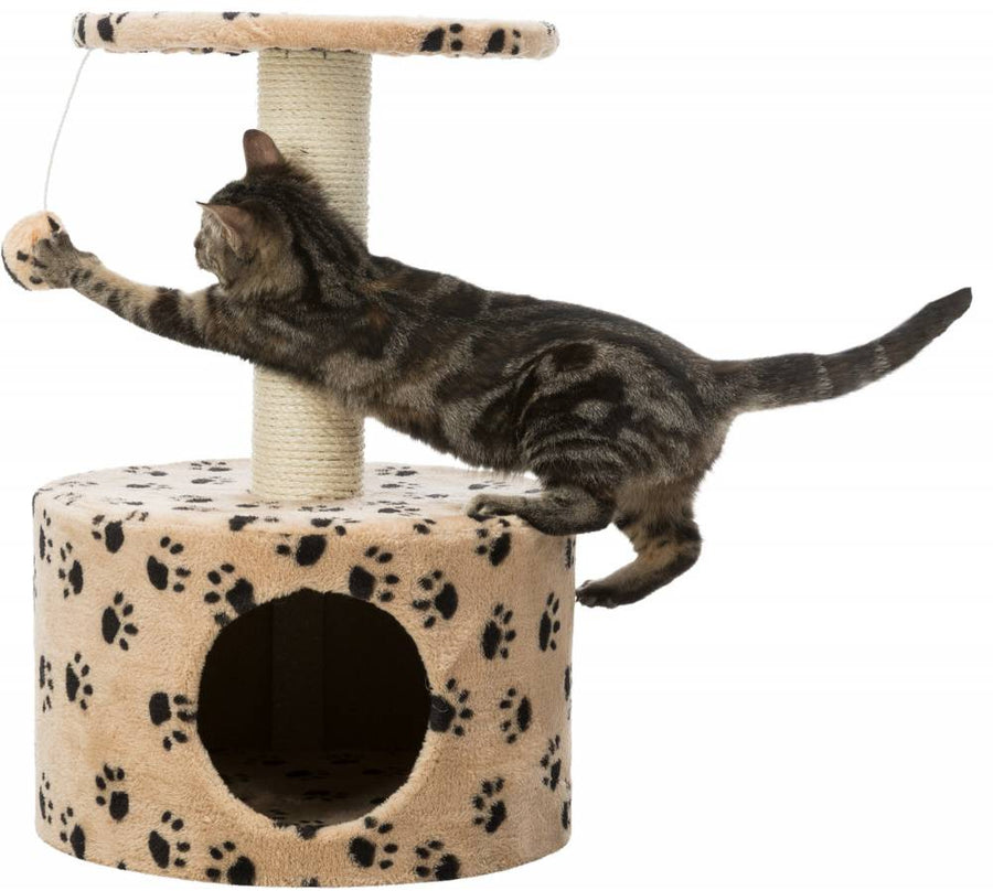 Junior Toledo Scratching Post