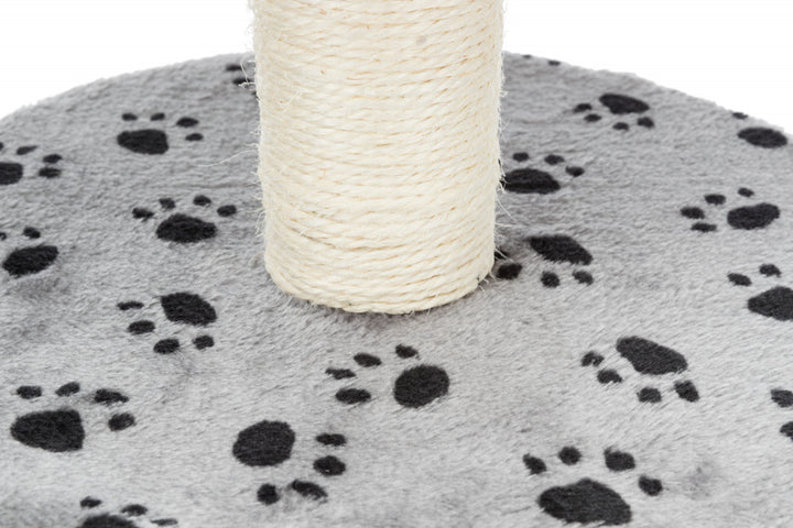 top of scratching post