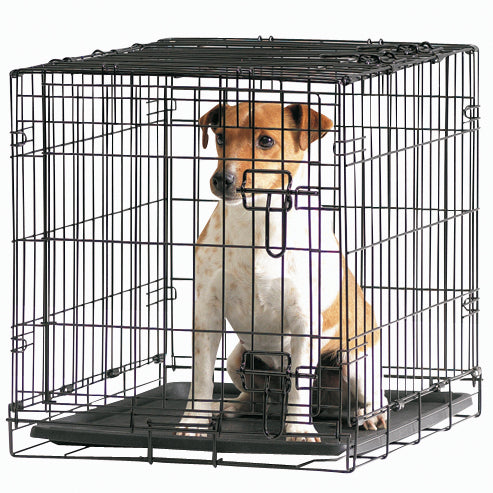 Savic Dog Cottage 50cm black wire dog crate with a Jack Russell inside