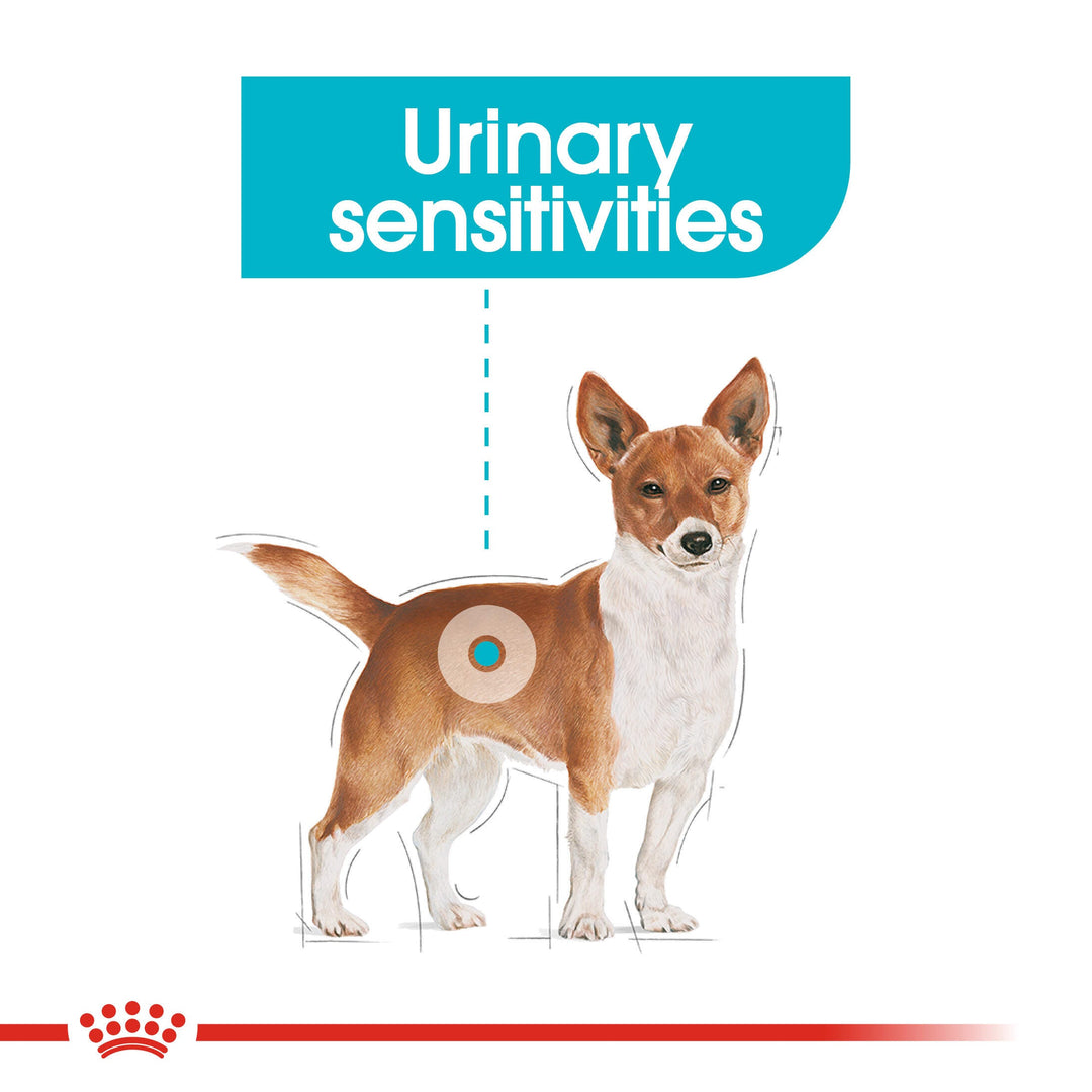 Royal Canin Urinary Care for dogs with urinary sensitivities