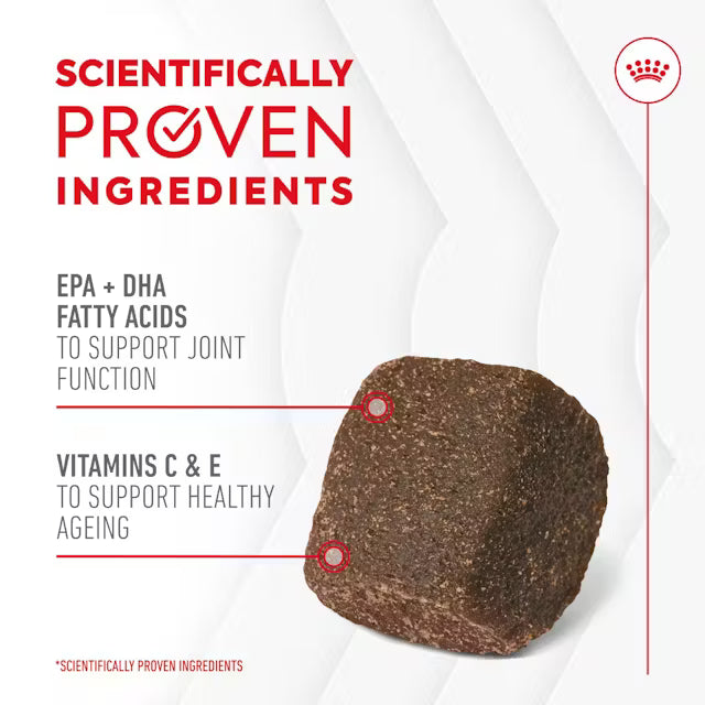 Royal Canin Joint & Ageing Supplements 240g