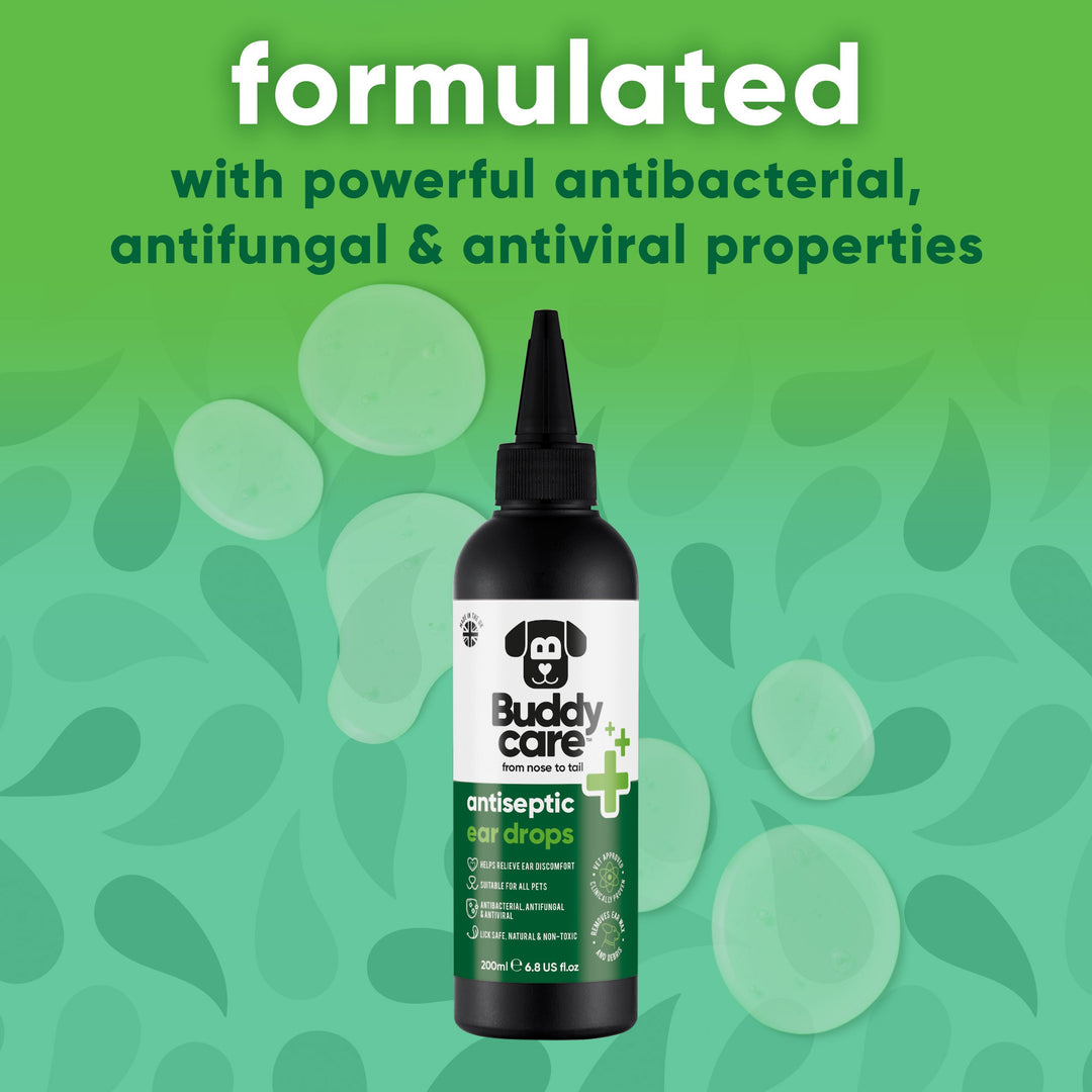 Buddycare Antiseptic Ear Drops formulated with antibacterial, antifungal and antiviral properties