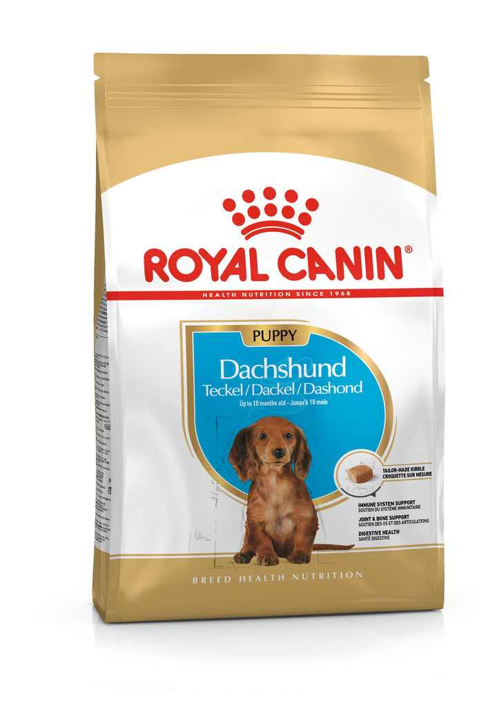 Royal Canin Dachshund Puppy dry dog food 1.5kg bag, front of pack