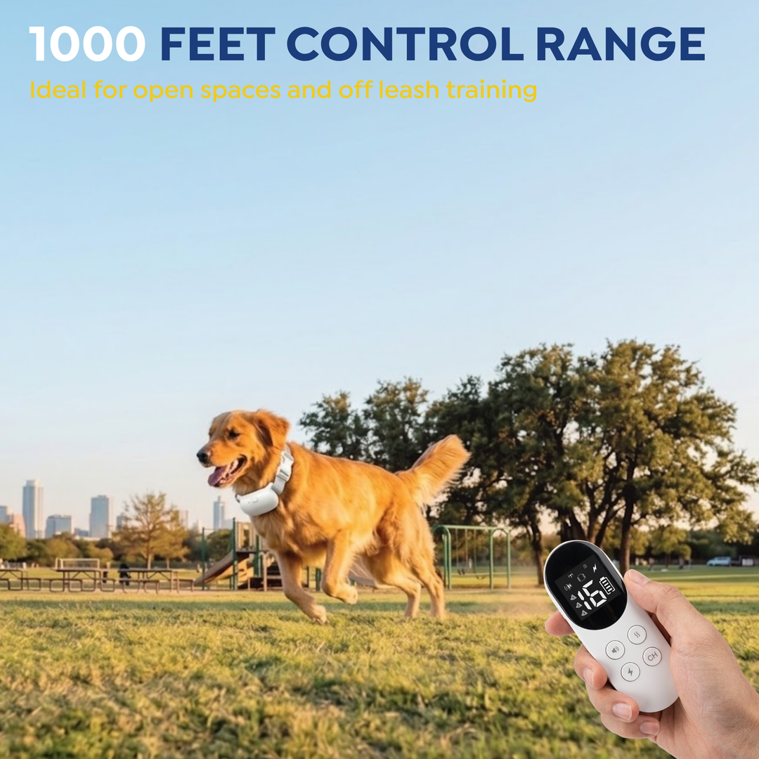 Dog running in a park while owner uses the PawGuard T200 remote, 1000 feet control range