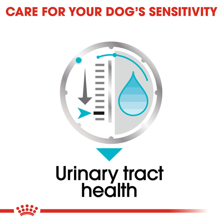 Royal Canin Urinary Care supports urinary tract health in dogs