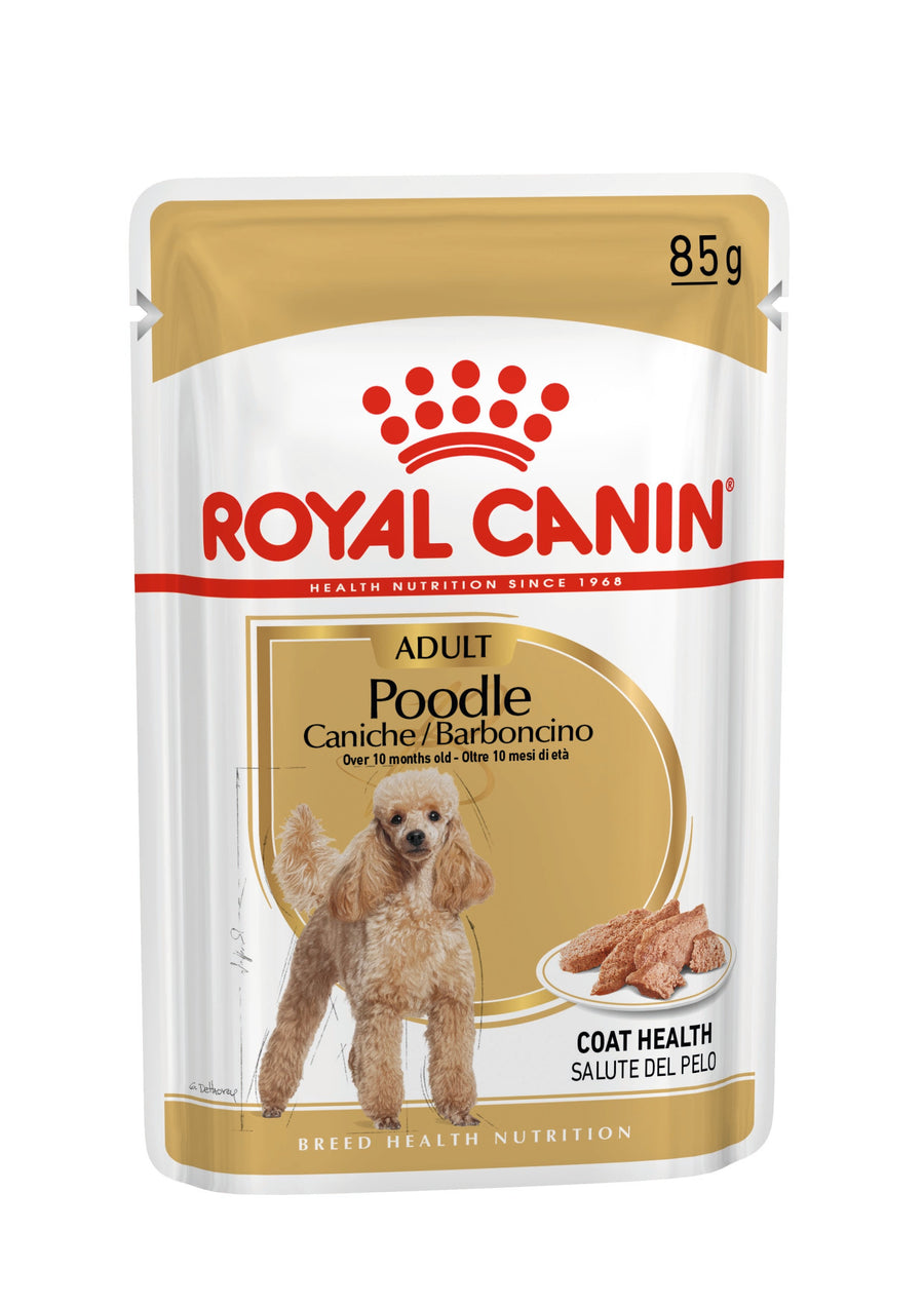 Royal Canin Poodle Adult Loaf 85g wet dog food pouch front