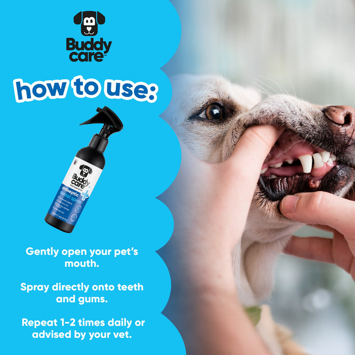 How to use Buddycare Antiseptic Dental Spray: open the mouth and spray onto teeth and gums 1 to 2 times daily