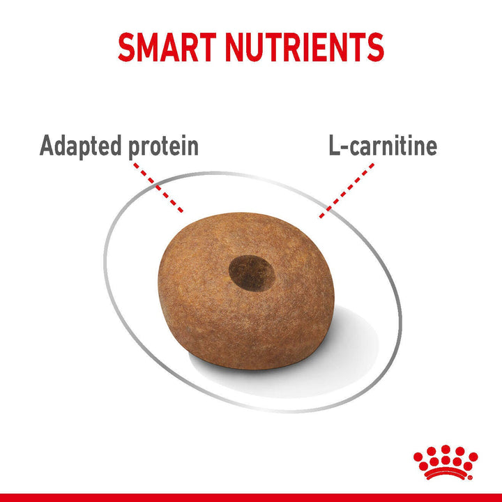 Royal Canin Medium Light Weight Care kibble with adapted protein and L-carnitine