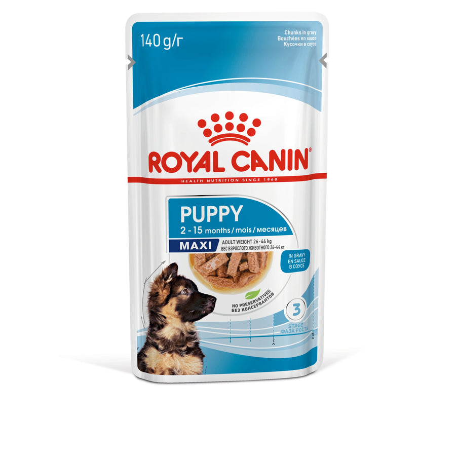 Royal Canin Maxi Puppy Chunks in Gravy 140g wet dog food pouch front