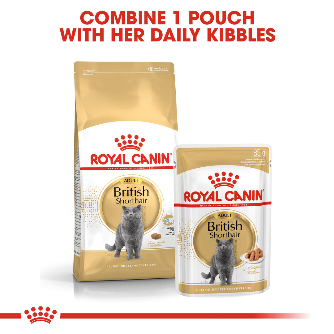 Combine 1 Royal Canin British Shorthair pouch with British Shorthair Adult dry kibble