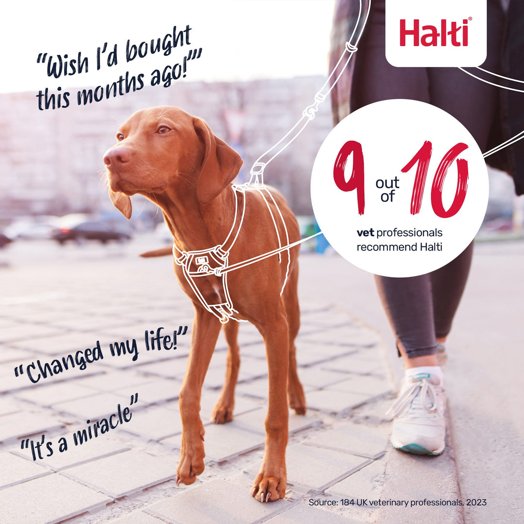 Halti No Pull Dog Harness Medium