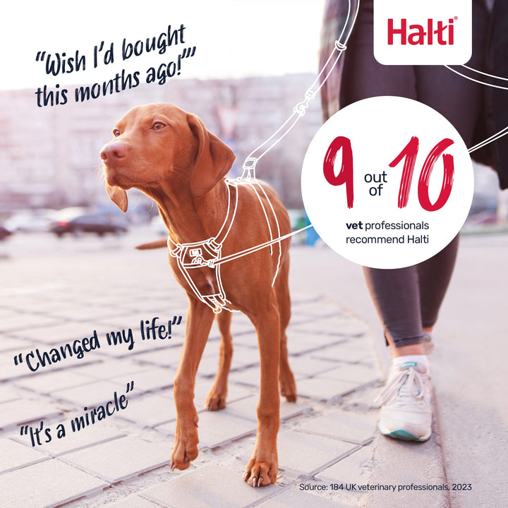 Halti No Pull Dog Harness Medium