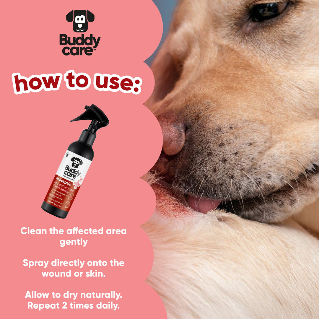 How to use Buddycare antiseptic wound spray: clean, spray, allow to dry, repeat twice daily
