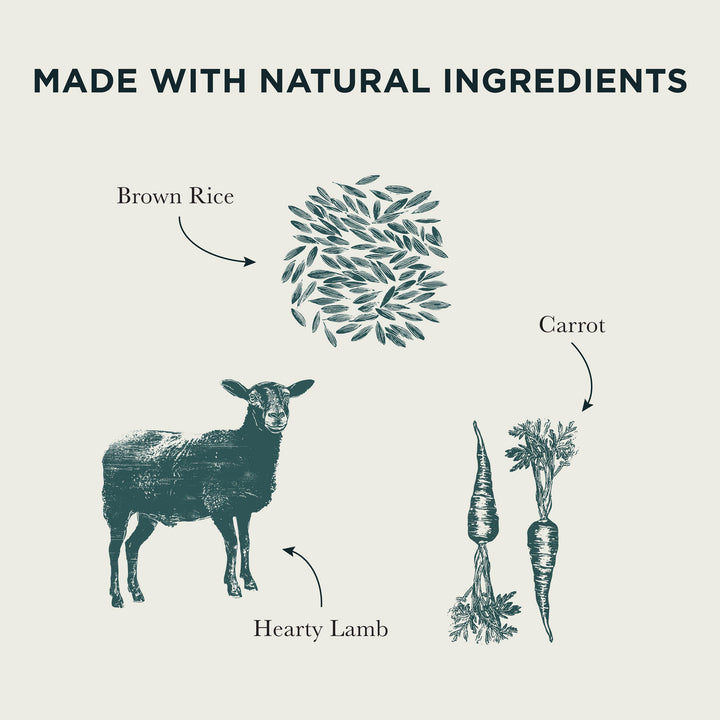 Burns Hearty Lamb wet dog food natural ingredients: hearty lamb, brown rice and carrot