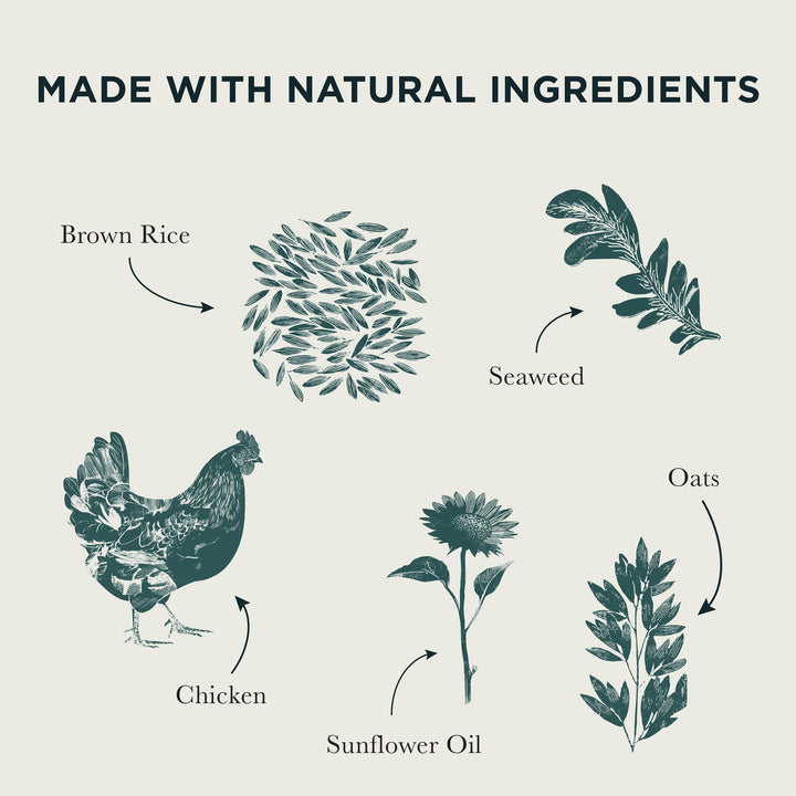 Burns Senior natural ingredients: brown rice, seaweed, chicken, sunflower oil and oats