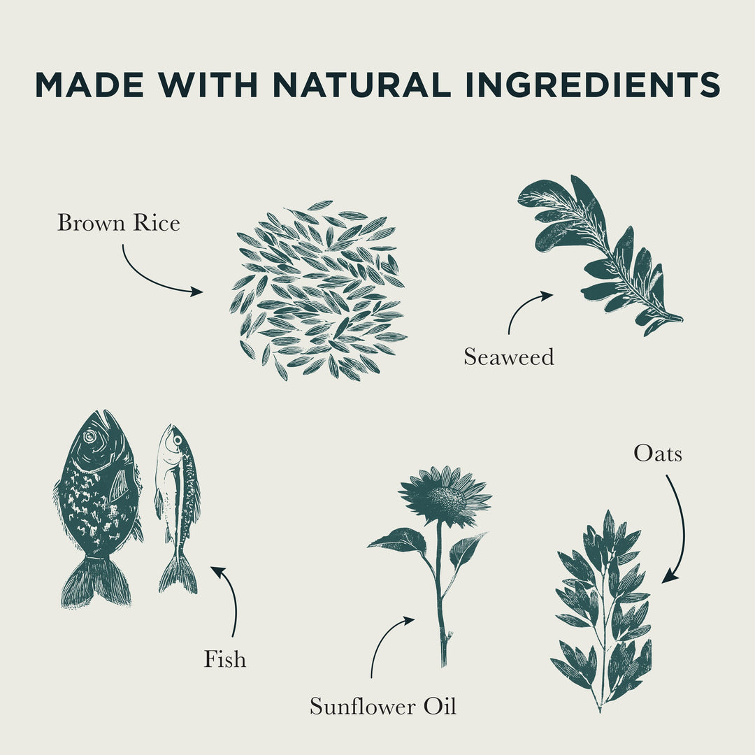 Burns Original Fish & Brown Rice natural ingredients: brown rice, seaweed, fish, sunflower oil and oats