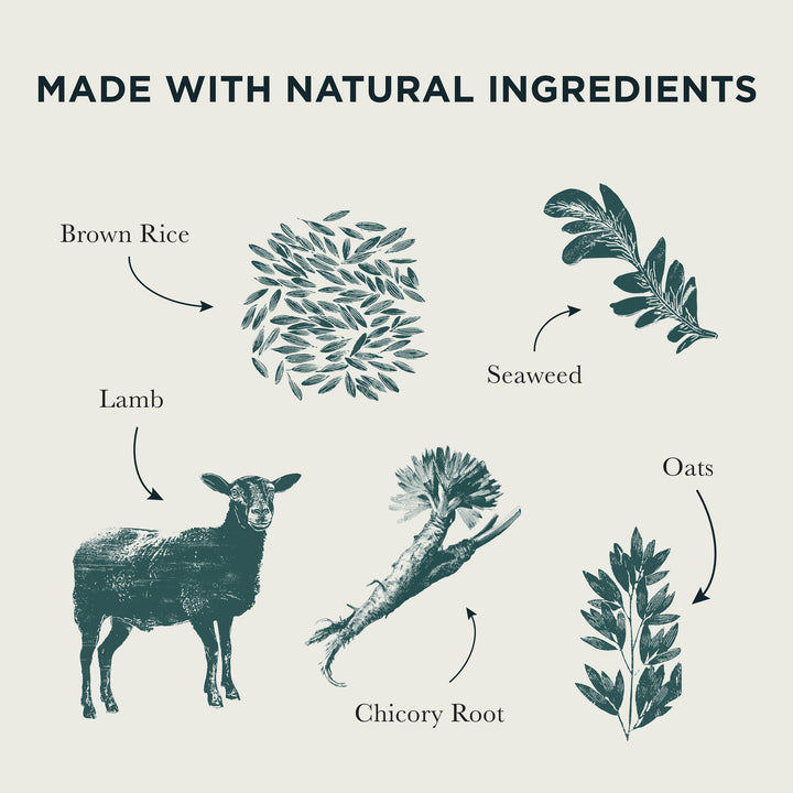 Burns Puppy Original natural ingredients: lamb, brown rice, oats, seaweed and chicory root