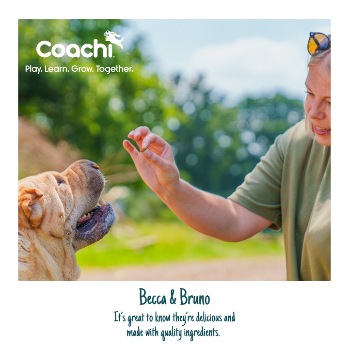 Owner giving a Coachi treat to a Shar Pei dog outdoors, Coachi lifestyle image